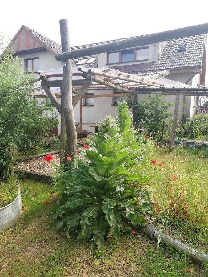 Biohof Am Turawa-See Szczedrzyk Eksteriør billede